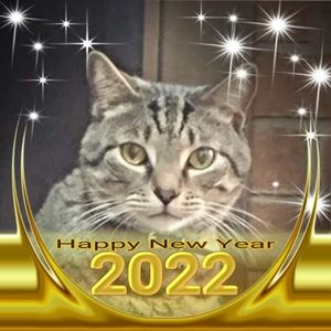 Meet your Posher, Suzanne